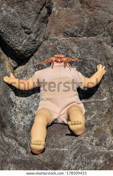 No Head Doll on the\
Volcanic Rocks