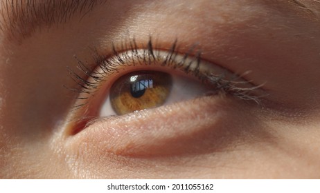 No make-up caucasian girl looking up. Extreme closeup brown eye. Studio shot with dramatic light close-up low angle portrait high quality photo image.