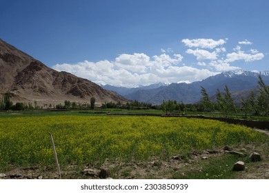 No man's land in Ladakh - Shutterstock ID 2303850939