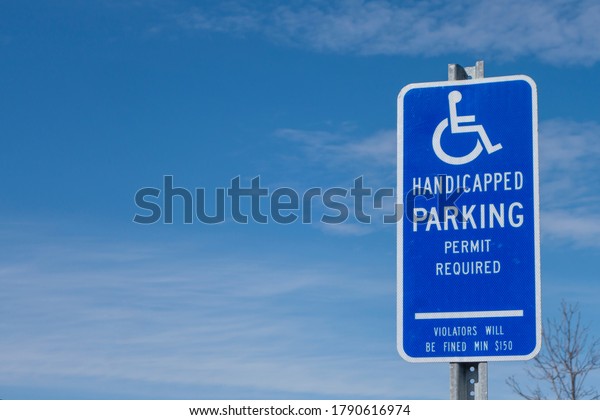 no parking only for handicapped personnel icon\
graphic blue