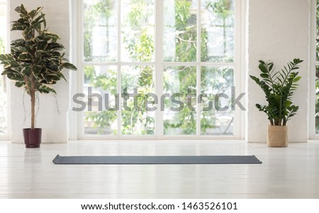 No people inside, two natural potted plants empty yoga black mat light cozy room idyllic place for work out with beautiful nature landscape outside green trees summer sunny day, concept of yoga class