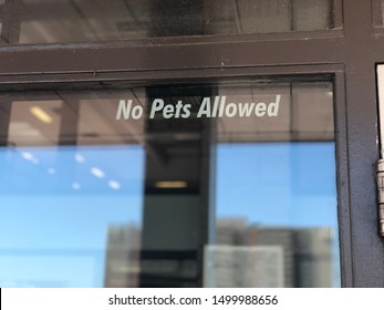 A No Pets Allowed Sign.