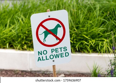 842 No cats allowed Images, Stock Photos & Vectors | Shutterstock