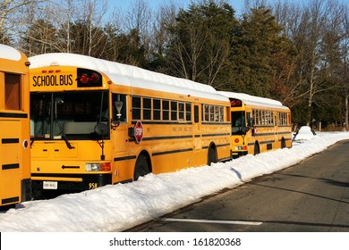 No School Snow Day, Parked School Buses