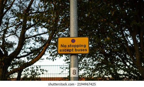 No Stoping Except Buses Sign