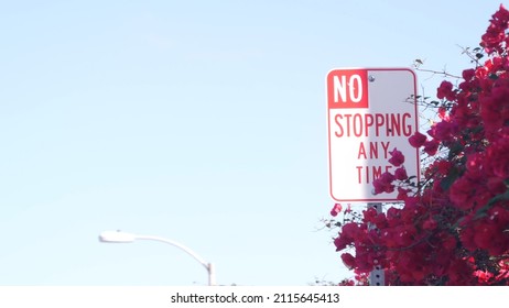 No Stopping Any Time Road Sign On Roadside, California City Street, USA. Red Flowers Of Bougainvillea Plant, Crimson Floral Blossom Or Bloom, Blue Sky. No Parking Traffic Signage In America. Road Trip