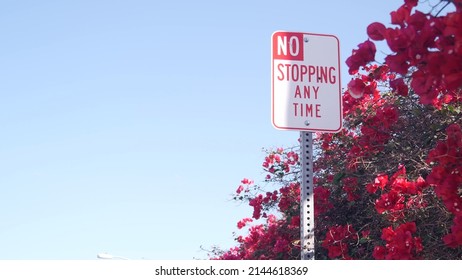 No Stopping Any Time Road Sign On Roadside, California City Street, USA. Red Flowers Of Bougainvillea Plant, Crimson Floral Blossom Or Bloom, Blue Sky. No Parking Traffic Signage In America. Road Trip