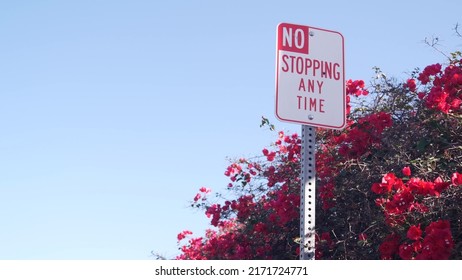 No Stopping Any Time Road Sign On Roadside, California City Street, USA. Red Flowers Of Bougainvillea Plant, Crimson Floral Blossom Or Bloom, Blue Sky. No Parking Traffic Signage In America. Road Trip