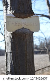 No Trespassing Sign On Tree Funny Sign Post