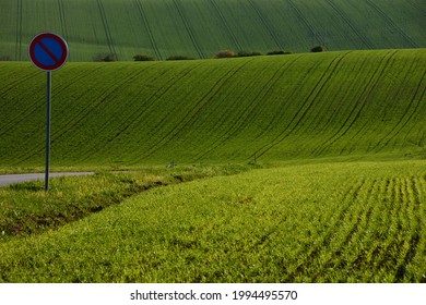 No Waiting Sign Surrounded By Green Rolling Fields