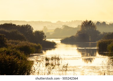 Noah's Lake At Shapwick Heath National Nature Reserve. Swans On Lake At Avalon Marshes Wetland, In Somerset, England UK