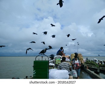 Noakhali, Bangladesh-September 1,2016: Lots Of Crows Flying Around Bridge Of Super Market In Cloudy Busy Day At Village.