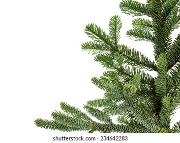 A Noble Fir Bough Used As A Corner Border