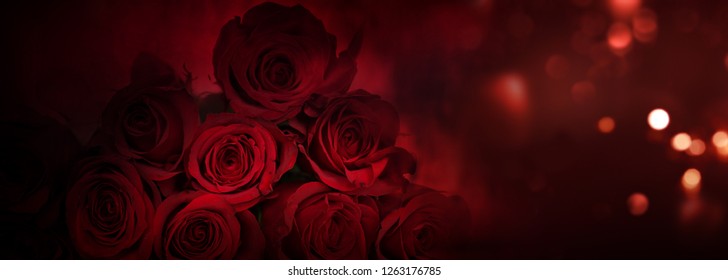 Nobles rosas rojas con