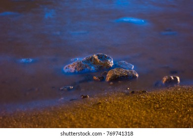 Noctiluca Scintillans In Taiwan