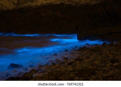 Noctiluca Scintillans In Taiwan