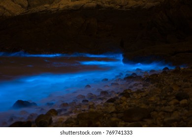 Noctiluca Scintillans In Taiwan