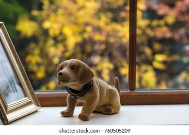 Nodding Dog On Window Cill