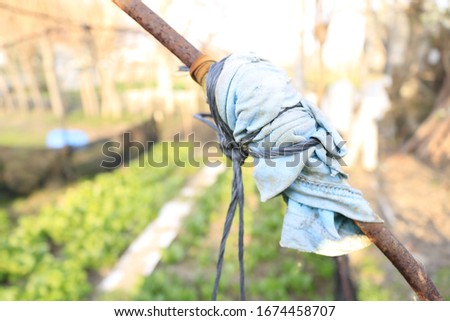 node with using piece of cloth for making greenhouse