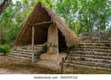 Nohoch Mul Pyramid in Coba. Pyramid and stele stone slab with stone steps in the Maya ruins of Coba