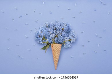 Spring Has Come Hd Stock Images Shutterstock