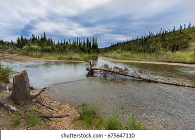 Nome Creek Alaska
Located In The White Mountains.  Historical Gold Rush Site.