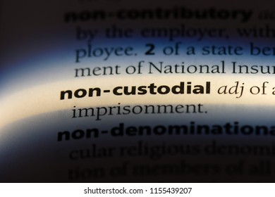 define non custodial