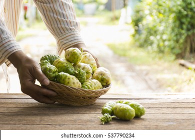 Noni fruit  and noni basket on wooden table.And noni in his hand.Zoom in