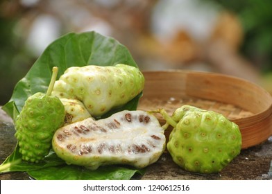 Noni Fruit   (Morinda Citrifolia) 