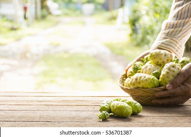 Noni fruit  on wooden table.And noni basket in his hand.Zoom in