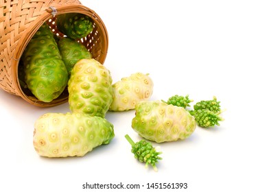 Noni fruits (Common name Morinda citrifolia, indian mulberry, cheese fruit isolated on white background. Natural medical plant and superfood concept. 