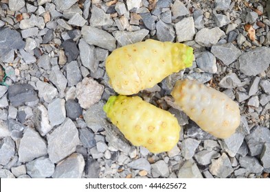 Noni isolate on stone background



Noni isolate on stone background