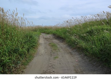 Non-paved Road