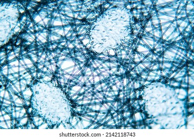 Non-woven synthetic material of a medical mask under a microscope