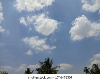 Noon View Of Cloudy Sky With Palm Trees As Background