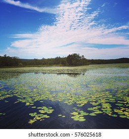 Noosa Everglades