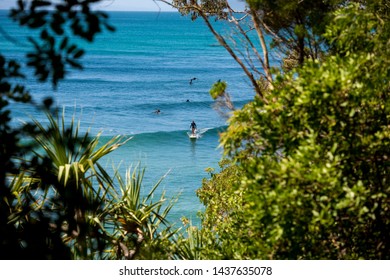 noosa heads national park surfer summer