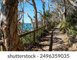 Noosa National Park, Coastal Walk, hike along the stunning blue sea and ocean on a beautiful sunny blue sky day, Sunshine Coast, Australia 