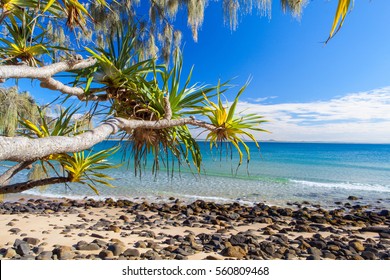 Noosa National Park On Queensland's Sunshine Coast