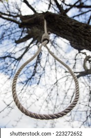 Noose Hanging In A Tree. Noose For Execution - Suicide Hanging By On A Tree Branch Against The Sky.