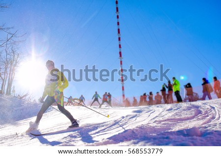 Nordic ski skier on the snow track in beautiful nature - sport active photo with space for your montage - Illustration picture for winter olympic game in pyeongchang 2018