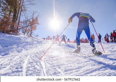 Nordic ski skier on the track in winter - sport active photo with space for your montage - Illustration picture for winter olympic game in pyeongchang 2018
