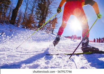 Nordic Ski Skier On The Track In Winter - Sport Active Photo With Space For Your Montage - Illustration Picture For Winter Olympic Game In Pyeongchang 2018