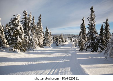 Nordic ski slopes