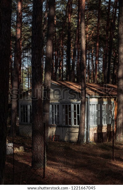 Nordic Style Vintage Cabin Hut Pine Stock Photo Edit Now 1221667045