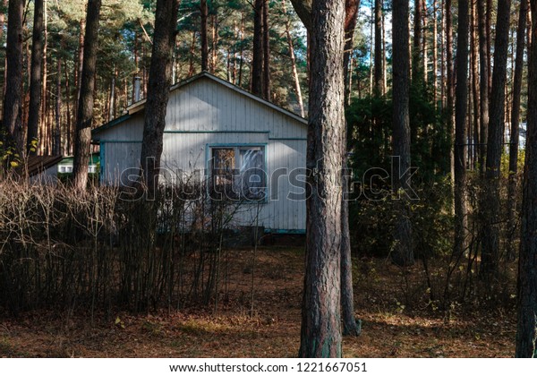 Nordic Style Vintage Cabin Hut Pine Stock Photo Edit Now 1221667051