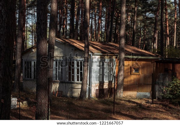 Nordic Style Vintage Cabin Hut Pine Stock Image Download Now