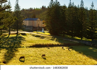 Norfolk Island, South Pacific, Australia.