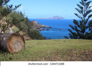 Norfolk Island View