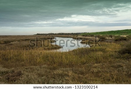 Similar – a tideway leads through the blooming salt marshes on Hallig Gröde